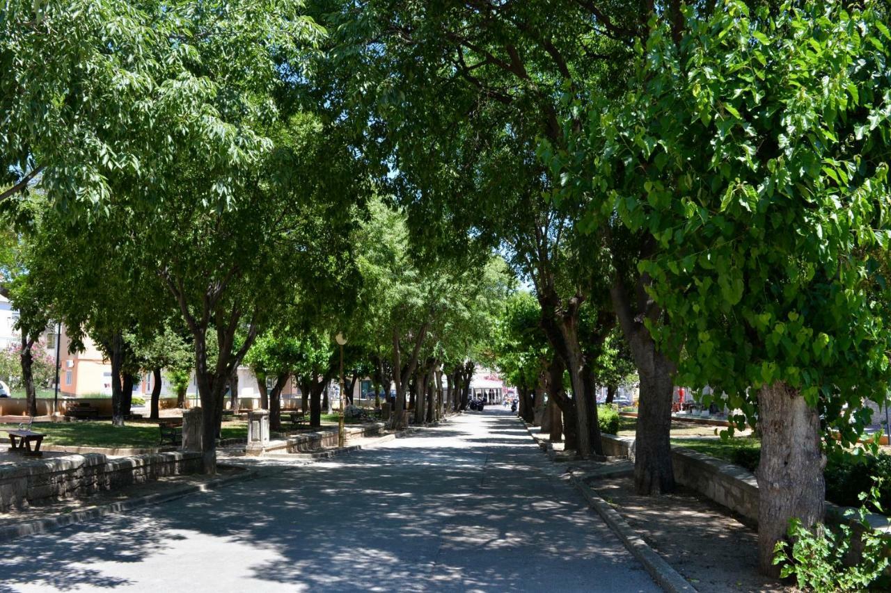 וודיצה Iva Apartmani מראה חיצוני תמונה