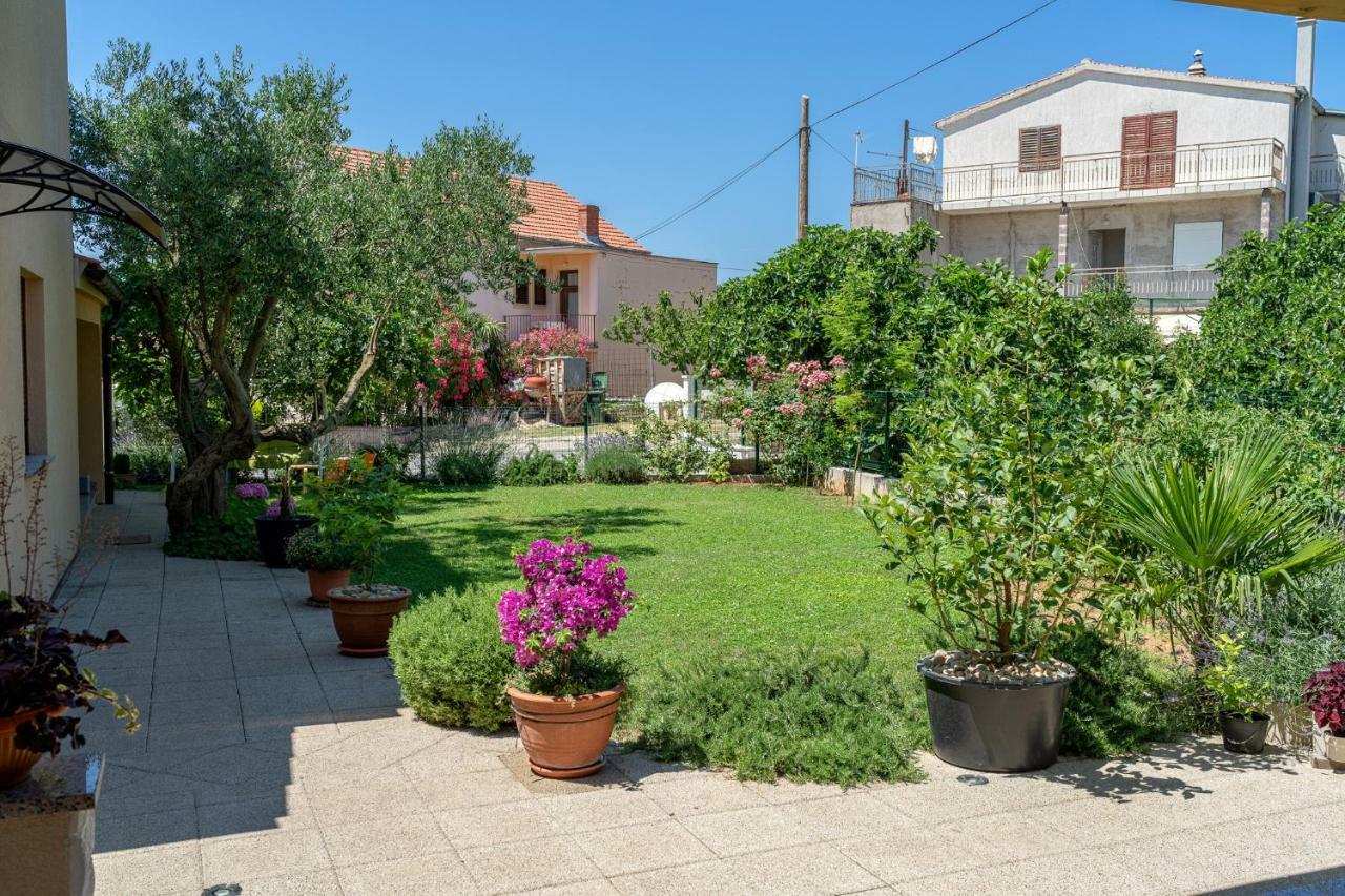וודיצה Iva Apartmani מראה חיצוני תמונה